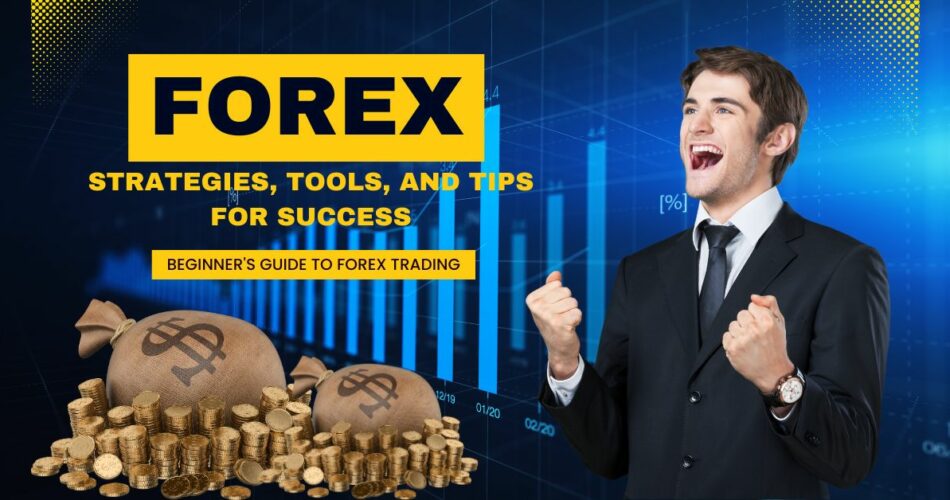 Beginner's guide to forex trading: Strategies, Tools, and Tips for Success